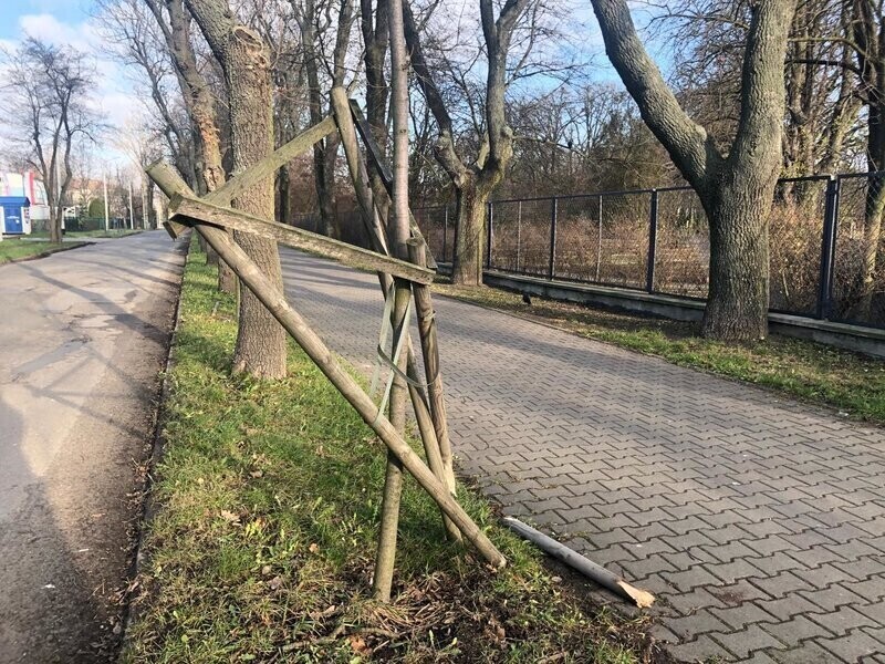 Zdjęcie 6: Niszczycielski spacer ulicą Żwirki