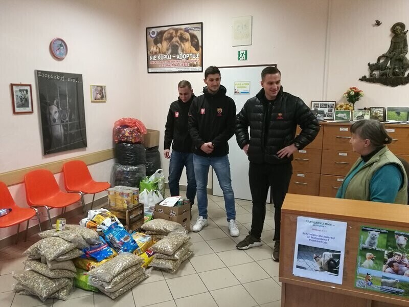 Szczypiorniści i kibice pomagają zwierzętom