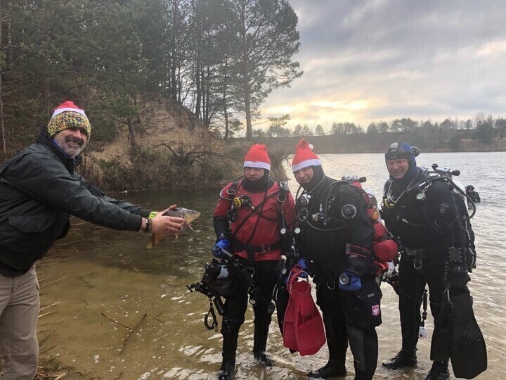 Nurkowie wypuścili karpie