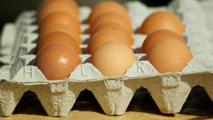 Ile naprawdę wiesz o jajkach? 