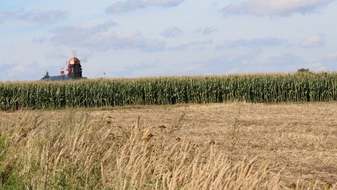 Uwaga! Można składać wnioski suszowe
