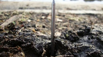 Wybieracie się do parku? Uważajcie na gwoździe! 