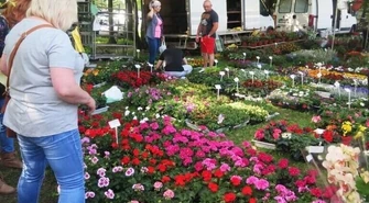 W niedzielę Piotrkowskie Targi Ogrodnicze 