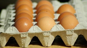 Ile naprawdę wiesz o jajkach? 