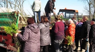 W gminie Grabica rozdawali sadzonki 