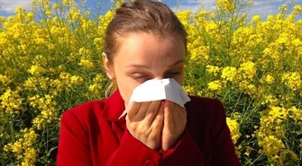 Alergicy, miejcie się na baczności!