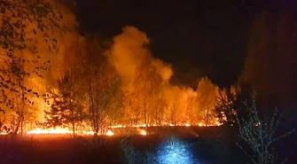 Kolejny pożar traw w powiecie