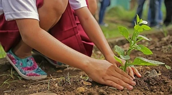 Piotrkowianie dbają o swoje ogrody