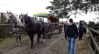 Piknik rodzinny w Piotrkowie