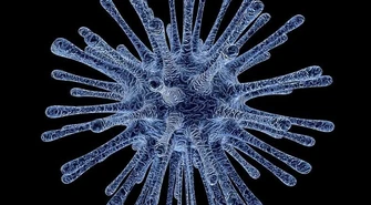 Bakteria New Delhi w szpitalu na Rakowskiej