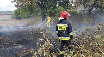 Kolejny pożar trawy w naszym regionie