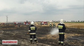 Aż 10 pożarów pól gasili w sobotę nasi strażacy