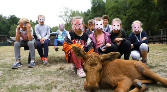 Kolorowa Lokomotywa na tropie dzikich zwierząt