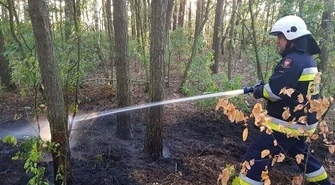 Płonący samochód na S8 i pożar w lesie
