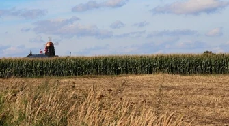 Susza dotknęła także gminę Wola Krzysztoporska