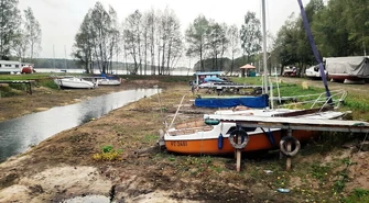 Uciekają z Zalewu Sulejowskiego