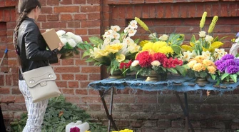 W tym roku na piotrkowskich grobach dominują chryzantemy