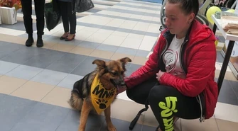 Do Focusa wejdziesz z pieskiem. Galeria zmieniła regulamin