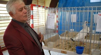 Zapraszamy na kolejną wystawę gołębi rasowych i drobnego inwentarza