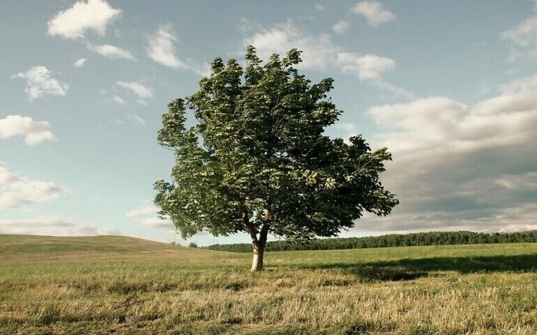 Znowu mocno powieje. Bądźcie ostrożni