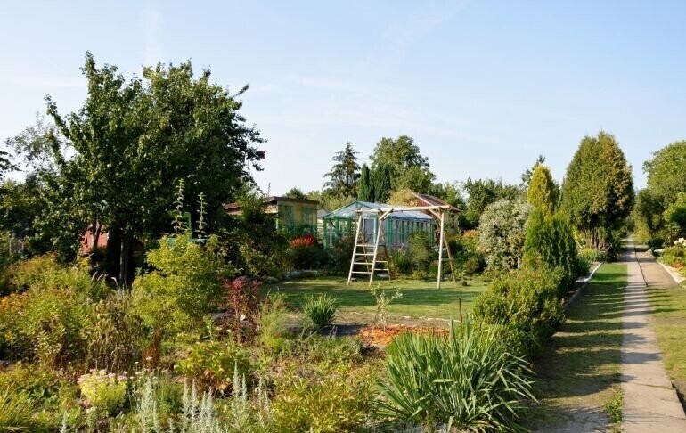 Ogródki działkowe w Budżecie Obywatelskim Piotrkowa