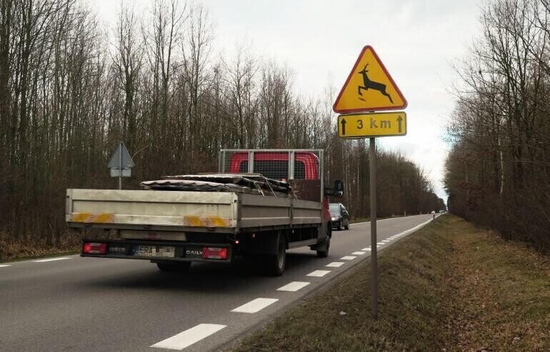 Uwaga zwierzę na drodze
