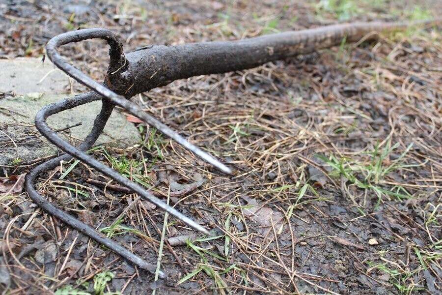 Agresywny sąsiad terroryzuje okolicę