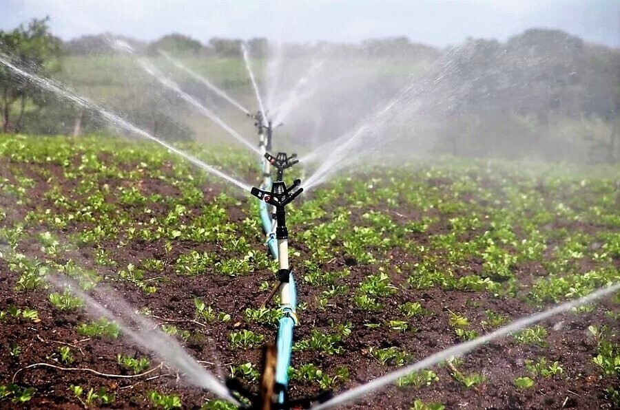 Rolniku zabezpiecz swoje gospodarstwo przed suszą