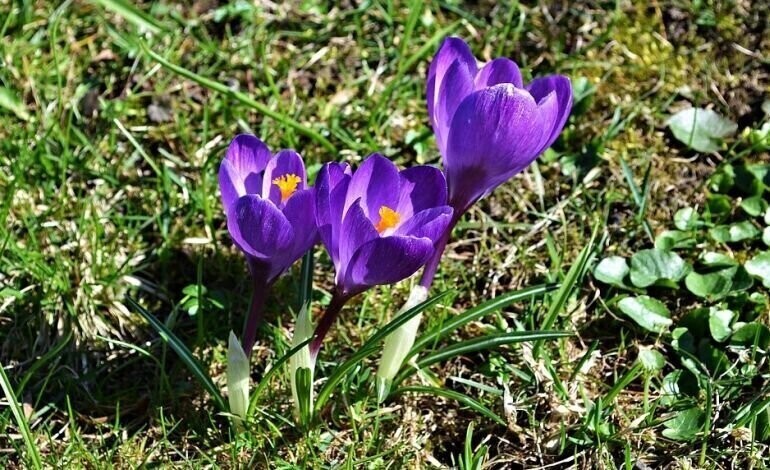 Astronomiczna już jest kalendarzowa w sobotę