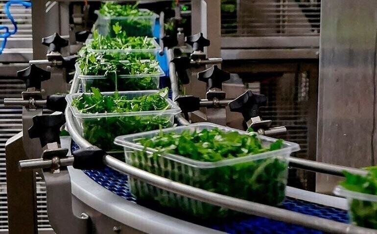 24 pracowników piotrkowskiej Nowalijki na kwarantannie. Firma wydała oświadczenie