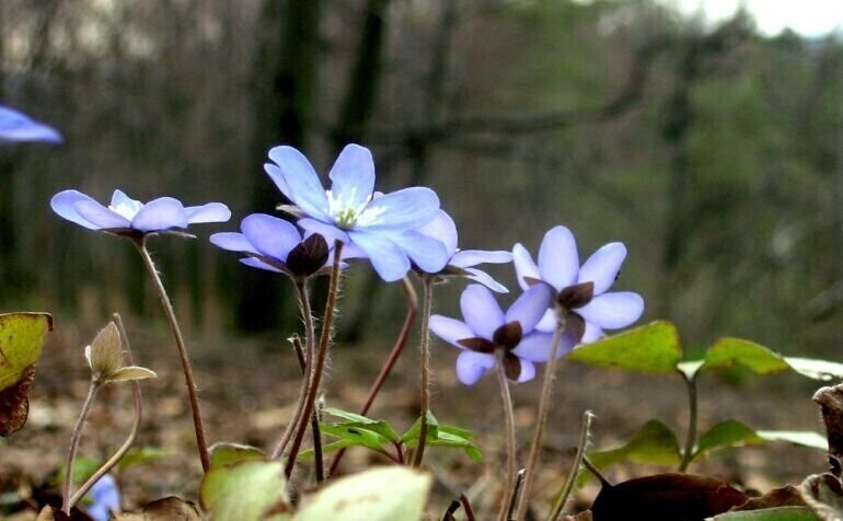 Nadchodzi prawdziwe ocieplenie