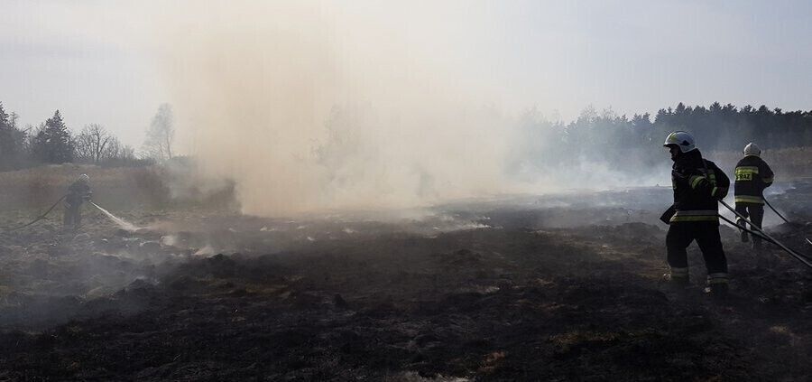 Pożary traw w gminie Gorzkowice. Codziennie