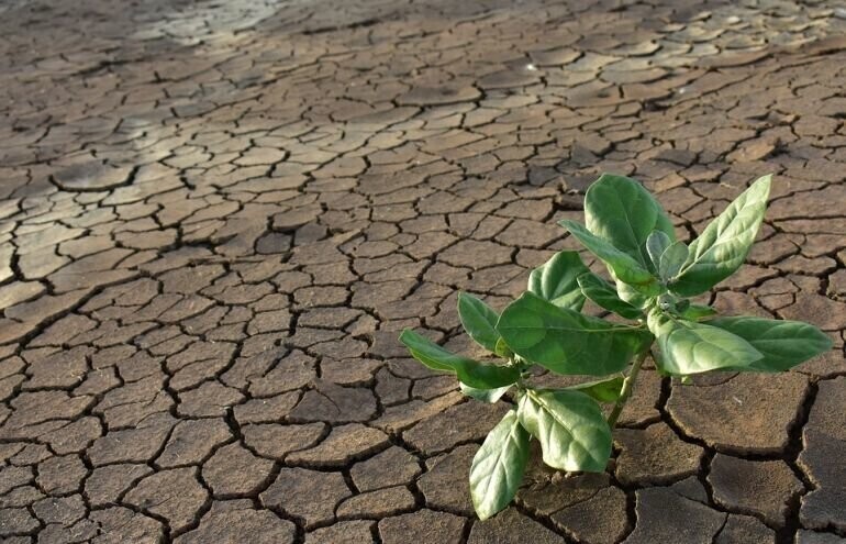 Minister rolnictwa apeluje nie marnujmy wody pomóżmy gospodarce i przyrodzie