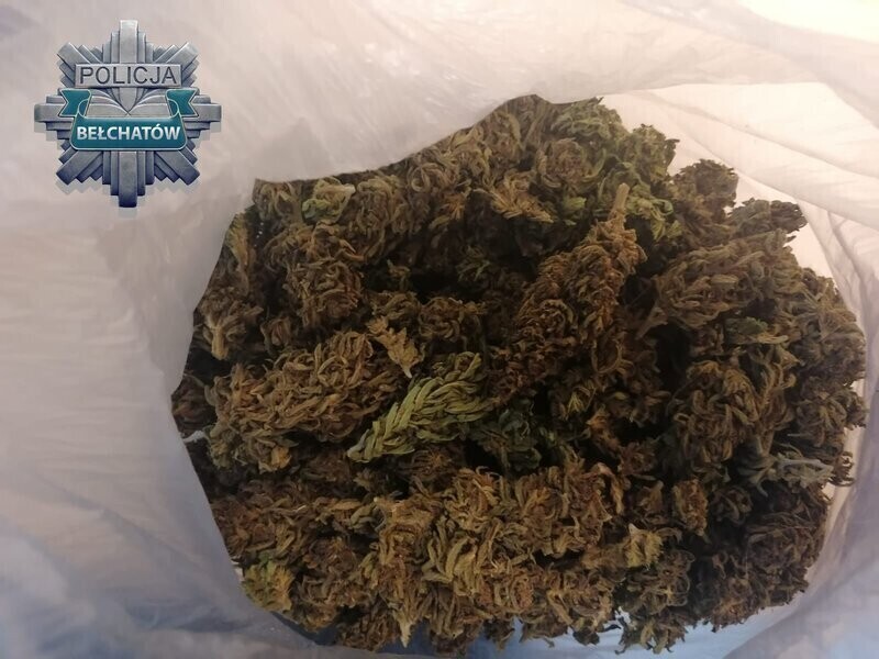 100 gramów marihuany w samochodzie 27-latka