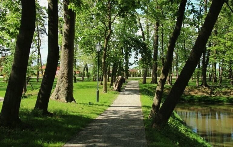 Przyrodnicza perła województwa łódzkiego. Zabytkowy park w Woli Krzysztoporskiej