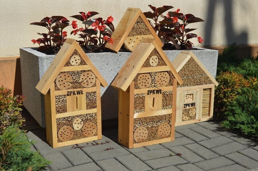 W Sulejowie wybudowali domki dla owadów