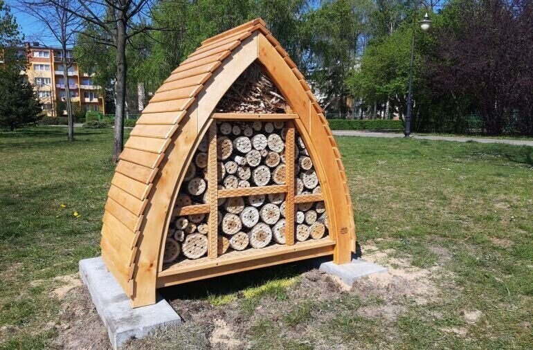 Hotele dla owadów mają pierwszych lokatorów