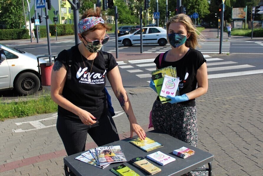 Zostań wege na 30 dni proponuje Fundacja Viva