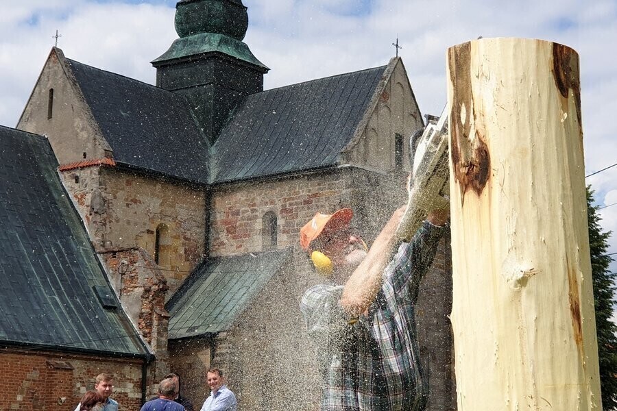 Rzeźbiarze z Europy na plenerze w Sulejowie