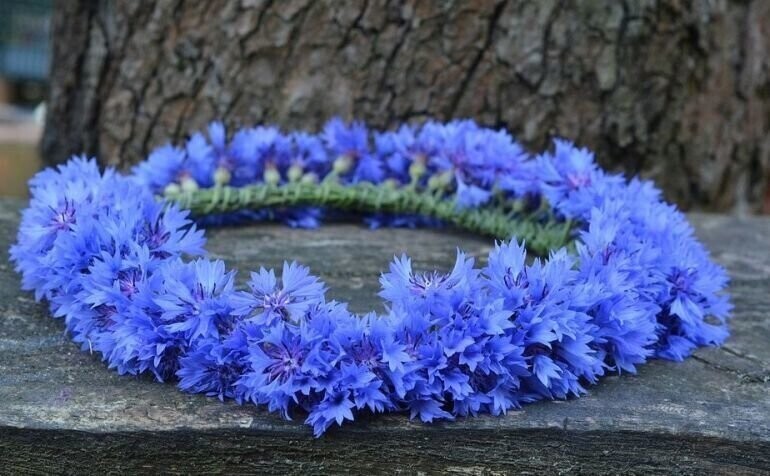 W Grabicy wybiorą najpiękniejszy wianek