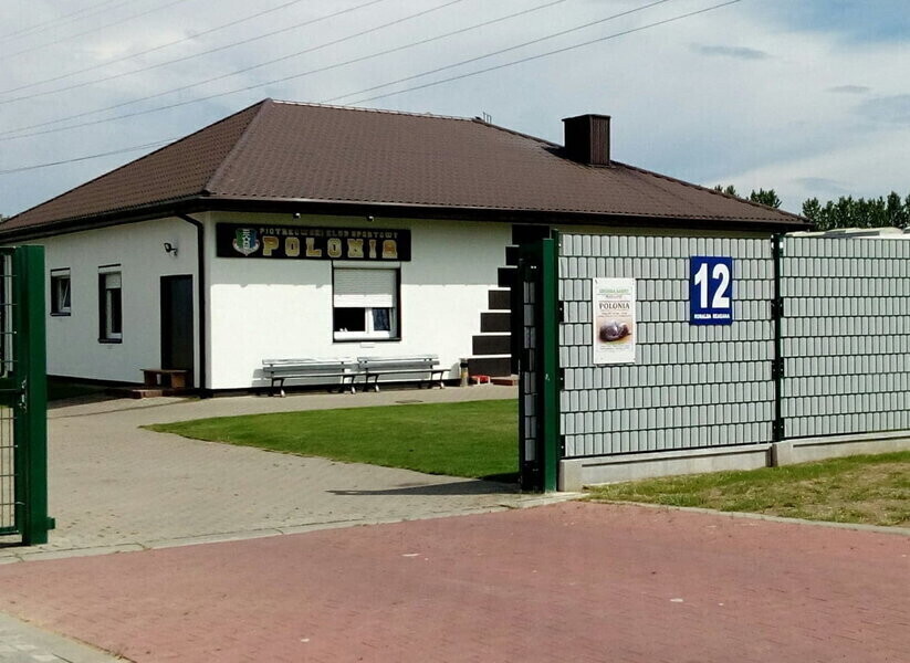 Polonia zaprasza do wspólnego pomagania zwierzętom w potrzebie