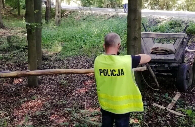 Zginął jadąc wozem konnym