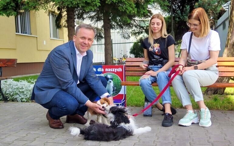 W urzędzie pamiętają o czworonogach
