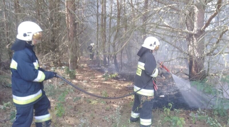 Pożar lasu we Włodzimierzowie
