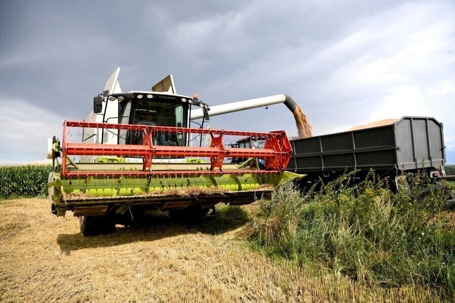 Żniwa przyspieszyły jest urodzaj zbóż