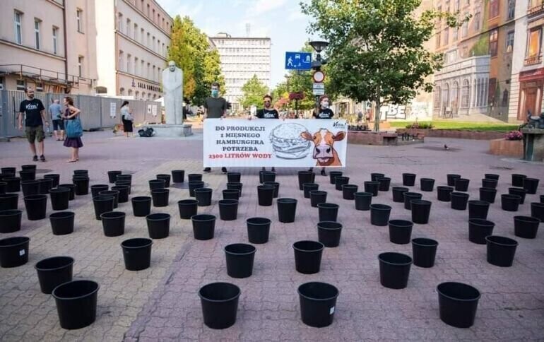 Ile wody potrzeba do wyprodukowania jednego burgera W czwartek uliczna akcja Vivy