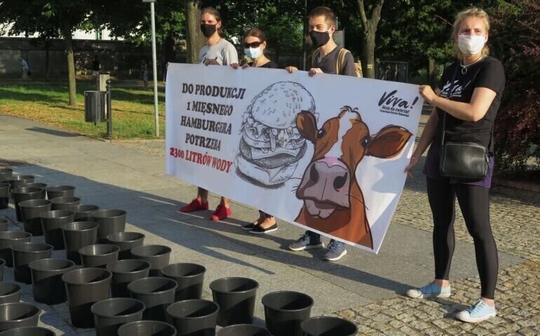 Jak to co jesz wpływa na środowisko Uliczna akcja Vivy w centrum Piotrkowa