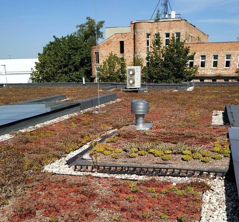 Roślinna mozaika na dachu mediateki