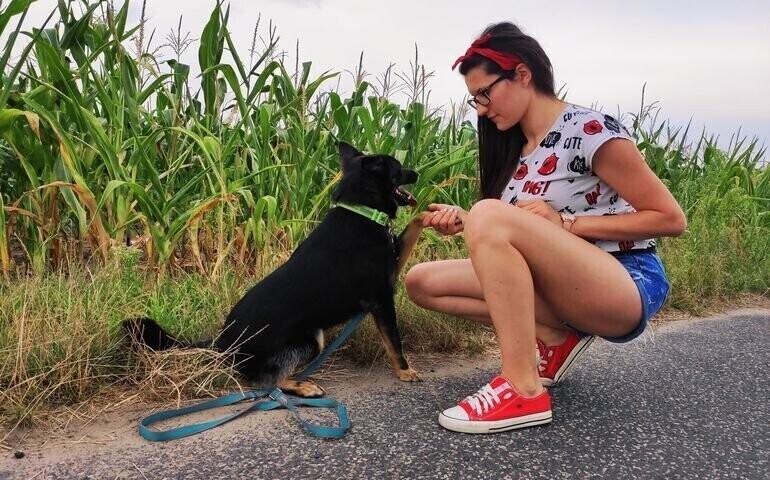 Behawiorysta czyli psi psycholog