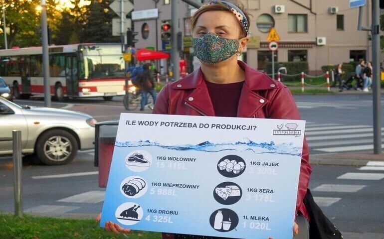 Viva o kryzysie klimatycznym. Uliczna akcja w Piotrkowie